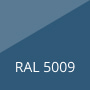 ral 5009
